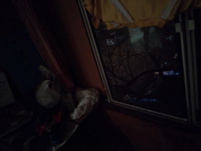 Лот: 16160339. Фото: 1. студия. Квартиры, студии