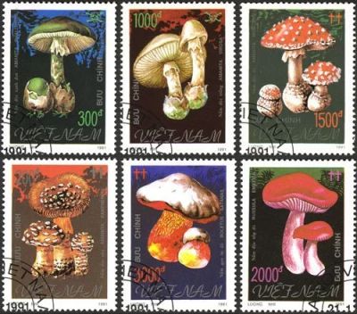 Лот: 11935075. Фото: 1. 1991 Вьетнам. Грибы. Полная серия... Марки