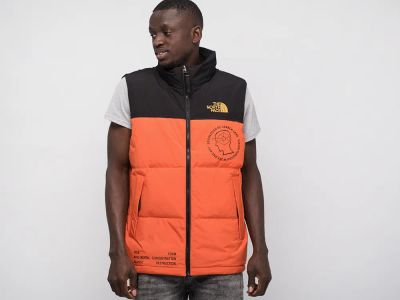 Лот: 18814018. Фото: 1. Жилет The North Face. Верхняя одежда