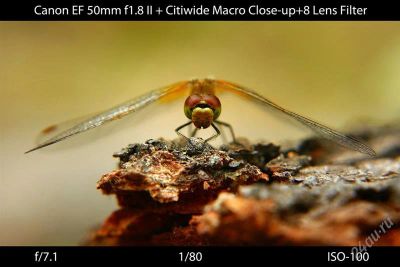 Лот: 1241107. Фото: 1. CITIWIDE Macro Close-up+8 Lens... Светофильтры