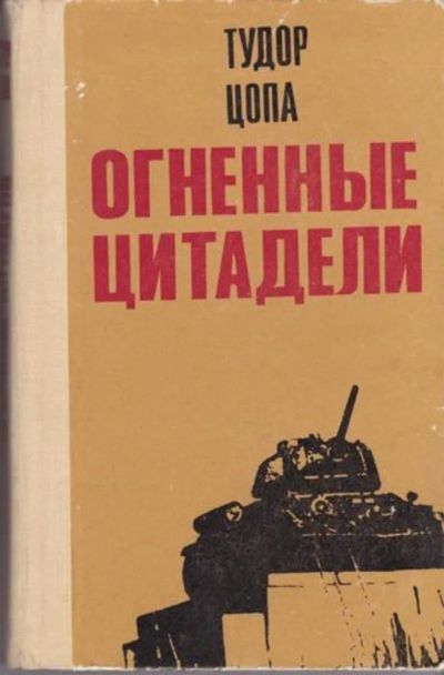 Лот: 23443041. Фото: 1. Огненные цитадели | Документальные... Художественная