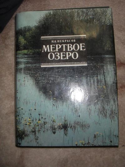 Лот: 3840074. Фото: 1. мертвое озеро. н.а некрасов. Художественная