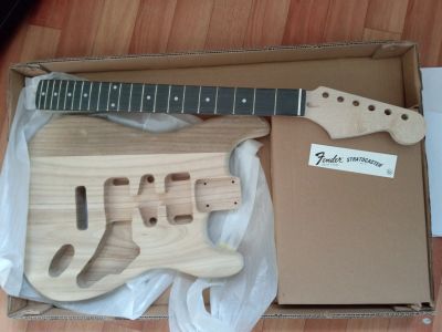 Лот: 18893499. Фото: 1. DIY Stratocaster. Гитары