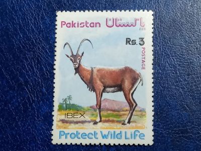 Лот: 25888291. Фото: 1. Марки Флоры и Фауны. лот №-94004. Марки