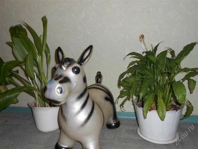 Лот: 2326683. Фото: 1. Игрушка резиновая "Зебра". Мягкие