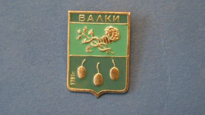 Лот: 11044083. Фото: 1. Значок герб " Валки " ( №1371... Сувенирные