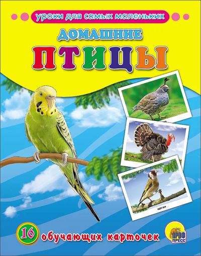 Лот: 11072520. Фото: 1. Домашние птицы. "Уроки для самых... Познавательная литература