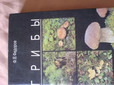 Лот: 1928483. Фото: 1. книга грибы отлично иллюстрированная. Сад, огород, цветы