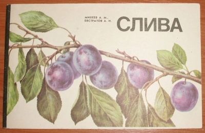 Лот: 11469463. Фото: 1. Михеев А.М., Евстратов А.И. Слива... Сад, огород, цветы