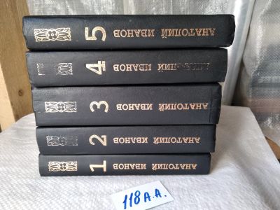 Лот: 18415587. Фото: 1. оз...(2.35 ст.конт) Иванов А.С... Художественная