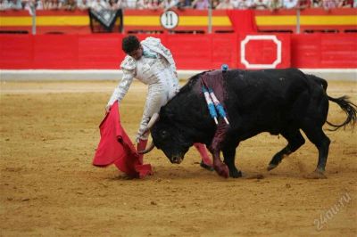 Лот: 2180027. Фото: 1. 4 Шины на дисках MATADOR 185/70... Шины на дисках
