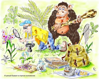 Лот: 5460673. Фото: 1. Карикатура "И умный бывает в глупом... Произведения