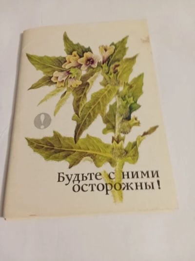 Лот: 25077556. Фото: 1. Набор открыток ядовитые растения. Открытки, конверты