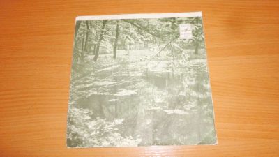 Лот: 18405595. Фото: 1. Сборник песенок , маленькая пластинка... Аудиозаписи