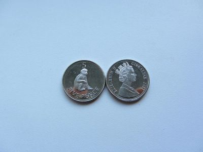 Лот: 9876358. Фото: 1. Гибралтар 5 пенсов 2011 " Обезьяна... Европа