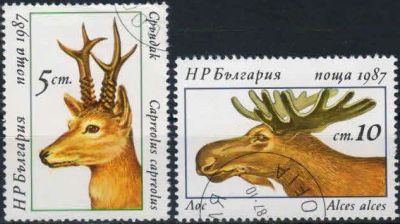 Лот: 16495609. Фото: 1. 1987. Болгария. Олени. н.с. Марки