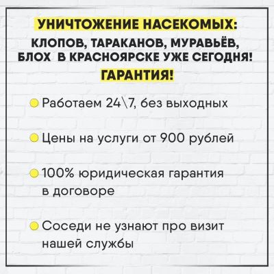 Лот: 13784026. Фото: 1. Уничтожение Клопов. Уничтожение... Другие (бытовые услуги)