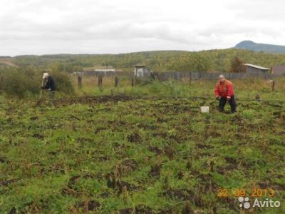 Лот: 8269071. Фото: 1. Участок 8 соток в черте города... Земельные участки