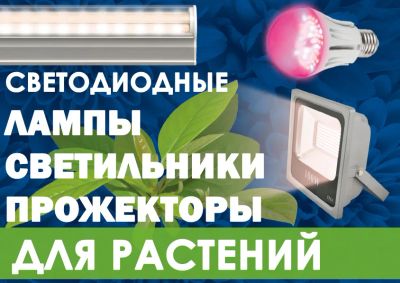 Лот: 8832142. Фото: 1. Светодиодные лампы, светильники... Инструменты