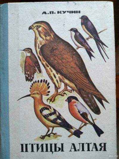 Лот: 16843532. Фото: 1. Книга 91. Охота, рыбалка