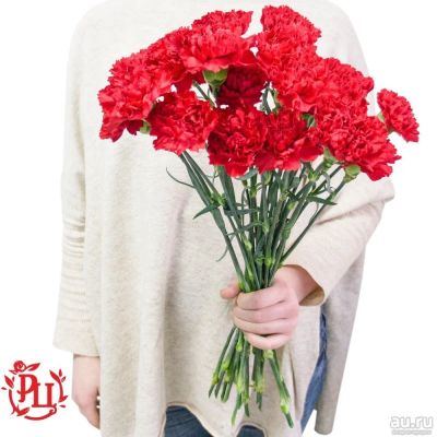 Лот: 13717988. Фото: 1. Лот № 430 Гвоздика красная - 50р... Свежие цветы