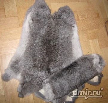 Лот: 10460969. Фото: 1. Шкурки кролика породы великан... Чучела животных, рога, шкуры