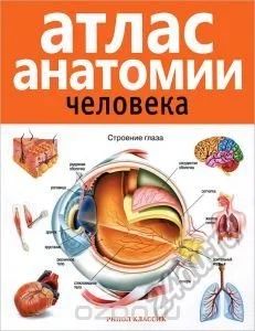 Лот: 5693230. Фото: 1. Атлас. Анатомия человека. Для вузов