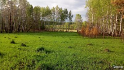 Лот: 14025322. Фото: 1. Земля 16га Емельяновский р-н. Земельные участки