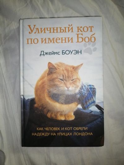 Лот: 18097476. Фото: 1. Книга Джеймс Боуэн "Уличный кот... Книги