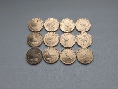 Лот: 18475923. Фото: 1. Турция 1 куруш 2021 набор из 12... Азия