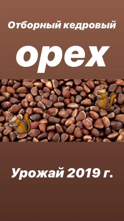 Лот: 14543886. Фото: 1. Орех кедровый ОТБОрный. Ягоды, орехи