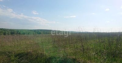 Лот: 25296859. Фото: 1. участок , село Таскино село Таскино... Земельные участки