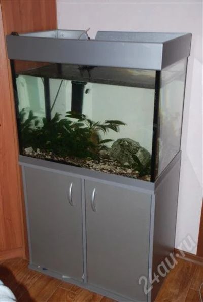 Лот: 236180. Фото: 1. продам аквариум. Аквариумы, террариумы