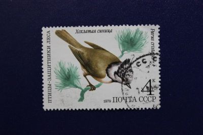 Лот: 7359136. Фото: 1. Почтовая марка №4804 в коллекцию. Марки