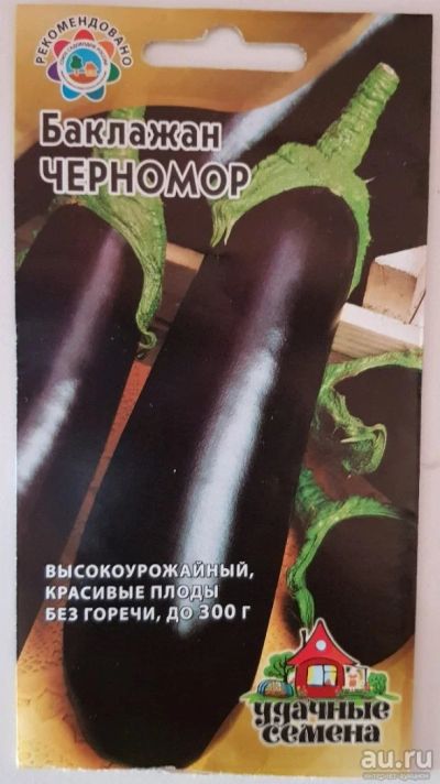 Лот: 13538094. Фото: 1. Рассада баклажан Черномор. Овощи