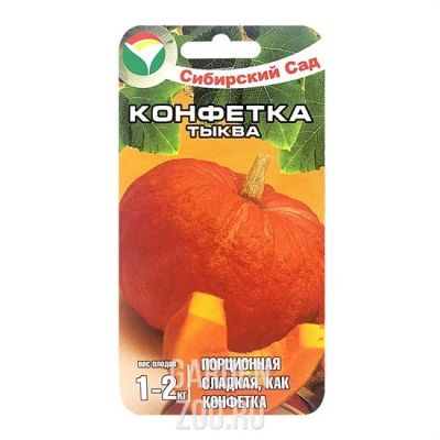 Лот: 16187736. Фото: 1. Тыква, тыковка. Овощи