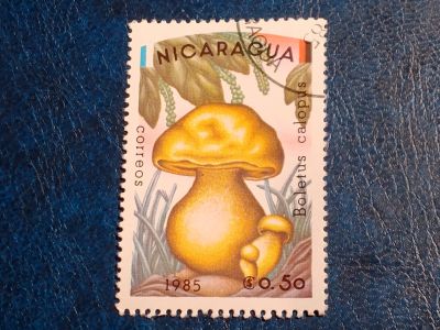 Лот: 25336472. Фото: 1. - Марки для Вашей коллекции. лот... Марки