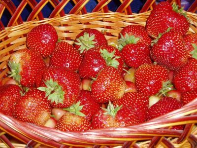 Лот: 7792796. Фото: 1. Вкусная ягодка! Клубника Виктория... Ягоды, орехи