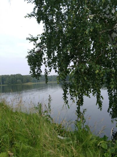 Лот: 12266475. Фото: 1. Участок. Земельные участки