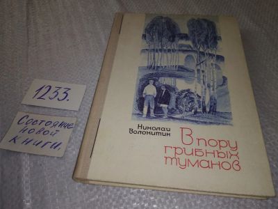 Лот: 19240742. Фото: 1. Волокитин Н. В пору грибных туманов... Художественная