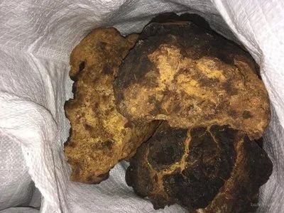 Лот: 14401815. Фото: 1. Куплю чагу берёзовую. Народная медицина, БАДы