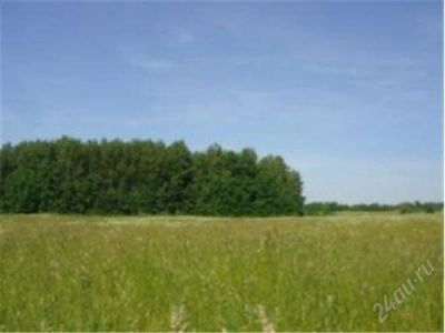 Лот: 2700337. Фото: 1. Земля 12Га. Земельные участки
