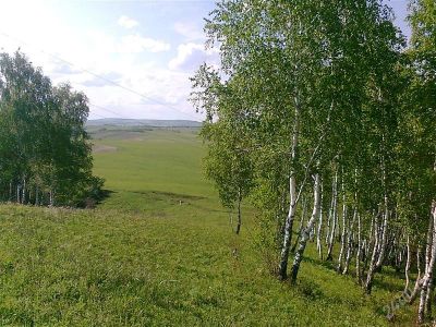 Лот: 1441664. Фото: 1. Продам зем. участок 11 сот. в... Земельные участки