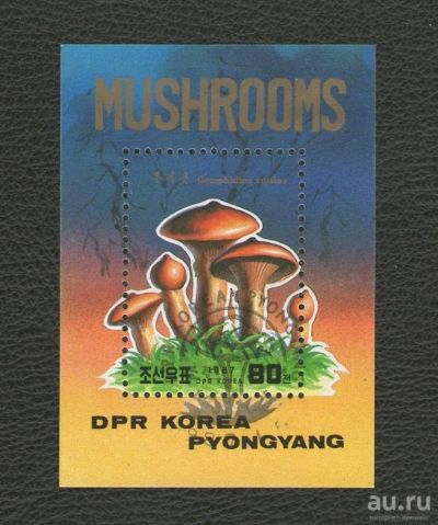 Лот: 16165769. Фото: 1. 1987 год. Почтовый блок КНДР... Марки