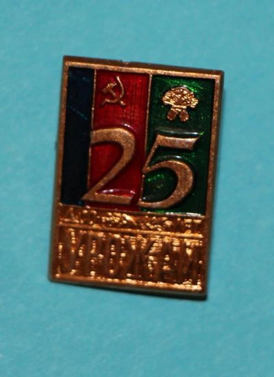 Лот: 9966849. Фото: 1. Знак 25 лет ДСО Урожай. (Пл. ДСО... Юбилейные