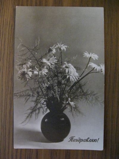 Лот: 19469082. Фото: 1. Фотооткрытка, открытка СССР. Фото... Открытки, конверты