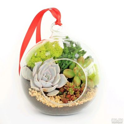Лот: 13844148. Фото: 1. Стеклянный шар для мини флорариума... Кашпо, горшки, вазоны для цветов