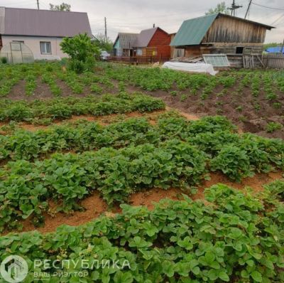 Лот: 25117828. Фото: 1. Продажа Квартира Танзыбей, Рабочая... Квартиры, студии