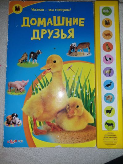 Лот: 18293636. Фото: 1. Музыкальная книжка + алфавит. Другое (дети растут)