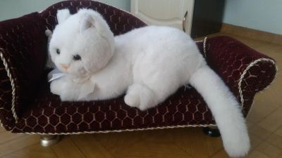 Лот: 9575603. Фото: 1. Кошка мягкая игрушка, 30 см. Мягкие